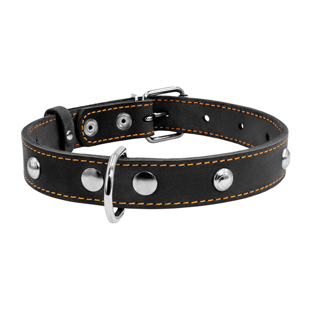 Odinis šunų antkaklis „Collar“, plotis 20 mm, ilgis 32–40 cm, juodas