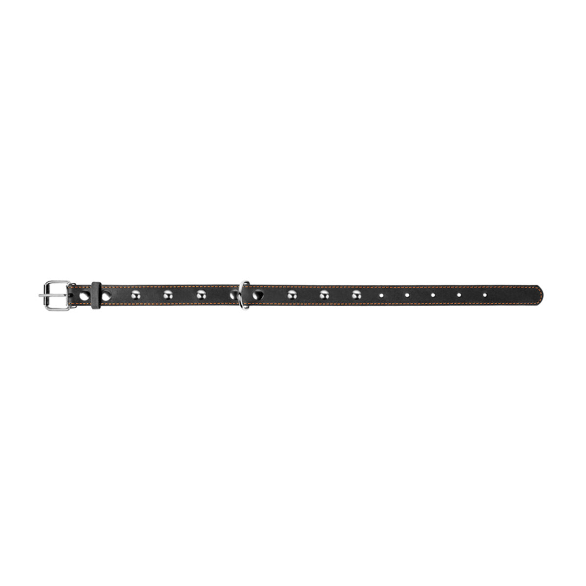 Odinis šunų antkaklis „Collar“, plotis 20 mm, ilgis 32–40 cm, juodas