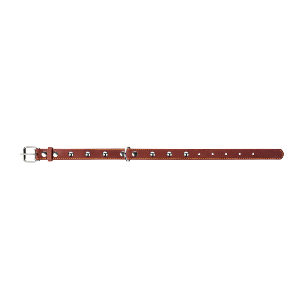 Odinis šunų antkaklis „Collar“, plotis 25 mm, ilgis 38–50 cm, rudas