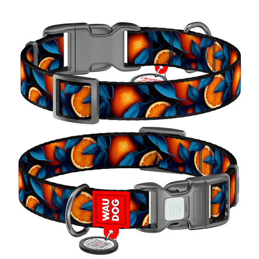 WAUDOG šuns antkaklis su QR pasu „Apelsinai“, plotis 15 mm, ilgis 25–35 cm
