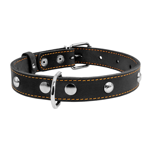 Odinis šunų antkaklis „Collar“, plotis 20 mm, ilgis 32–40 cm, juodas