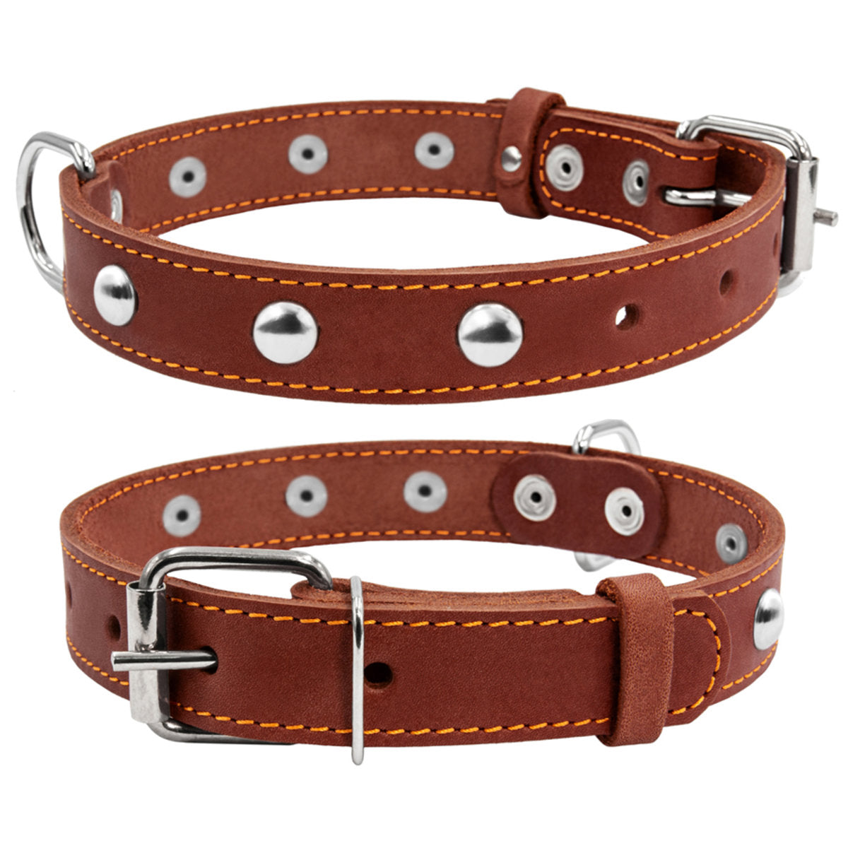 Odinis šunų antkaklis „Collar“, plotis 25 mm, ilgis 38–50 cm, rudas