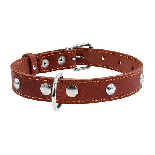 Odinis šunų antkaklis „Collar“, plotis 25 mm, ilgis 38–50 cm, rudas