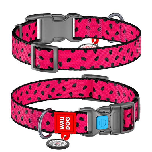 WAUDOG šuns antkaklis su QR pasu „Arbūzas“, plotis 20 mm, ilgis 28–40 cm
